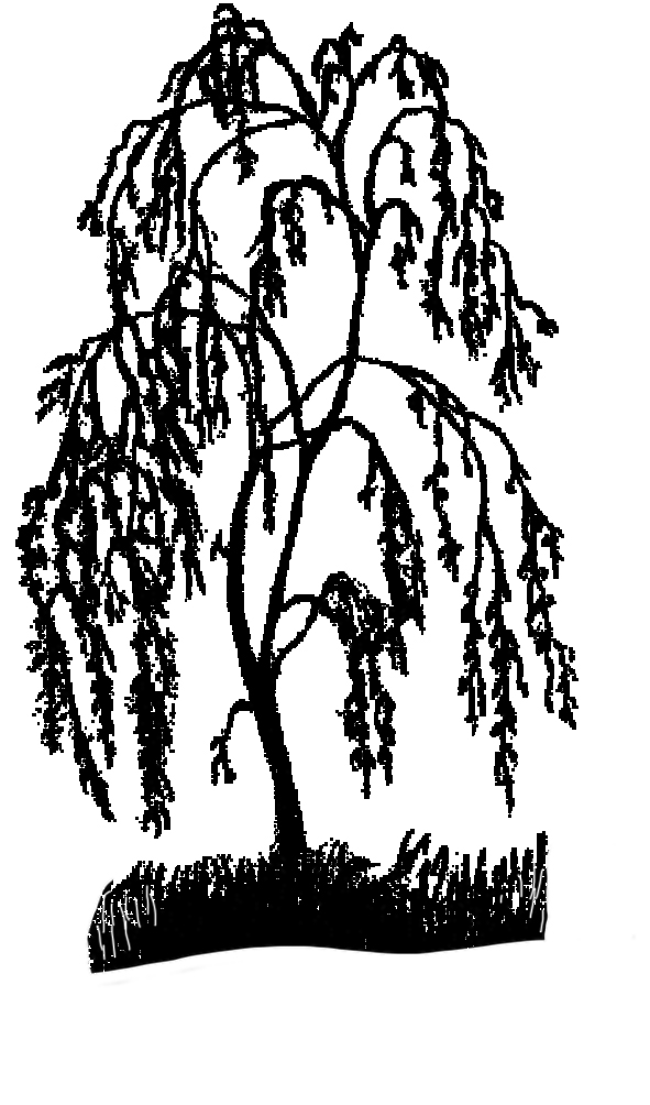 Veenstra, Egbert