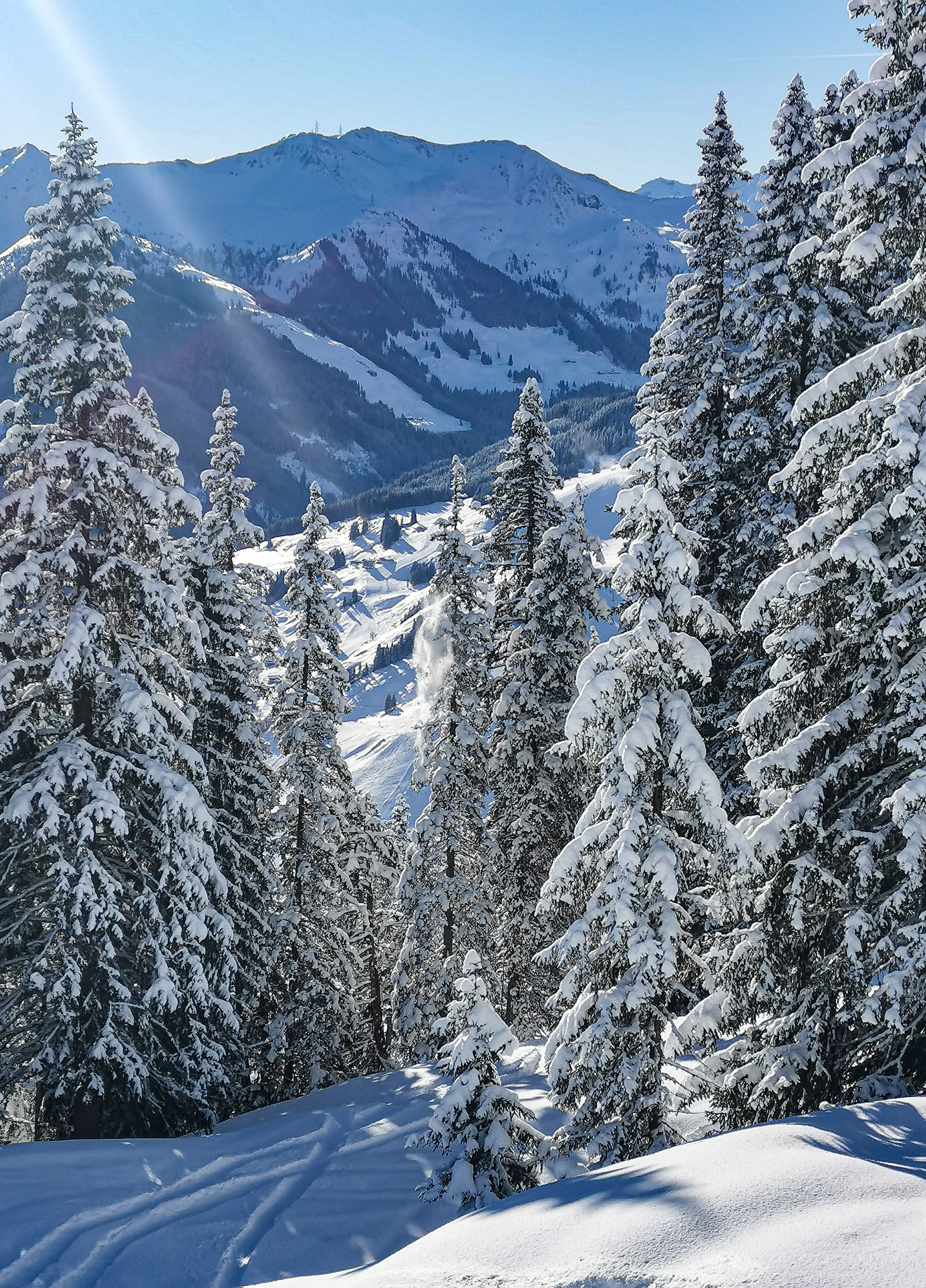 Engelbracht, Klaus Peter